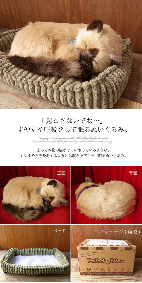 パーフェクトペット シャム猫 ぬいぐるみ 猫 ねこ 本物 71 Off そっくり リアル ネコ