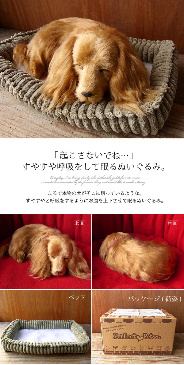 楽天市場 パーフェクトペット ダックスフンド ロング レッド ぬいぐるみ 犬 イヌ いぬ ぬいぐるみ リアル 本物 そっくり ペット ニニアンドキノ