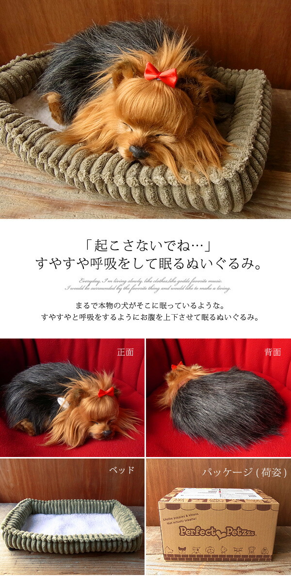 ぬいぐるみ 犬 いぬ イヌ 本日の目玉 そっくり リアル 本物