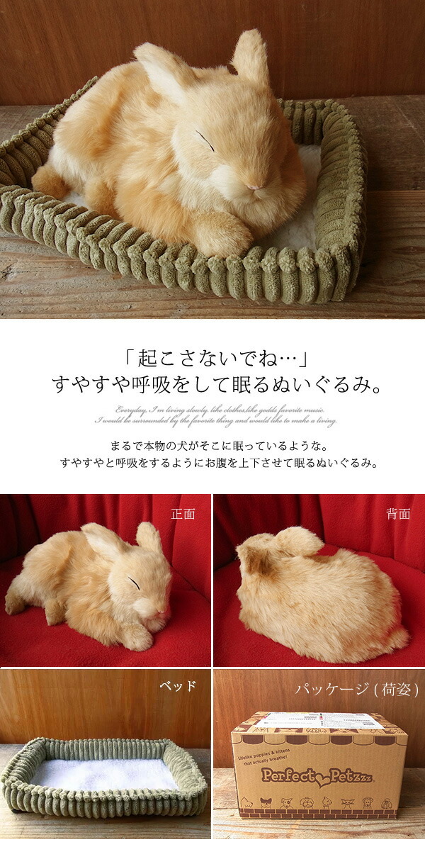 パーフェクトペット ウサギ ベージュ ぬいぐるみ 兎 ウサギ うさぎぬいぐるみ リアル 本物 そっくり ペット Schwimmbad Delphine De