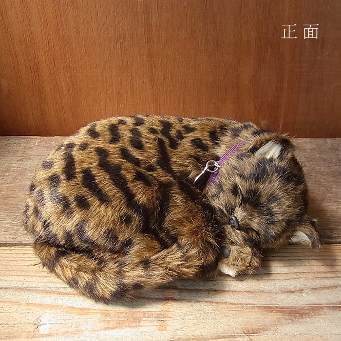 楽天市場 パーフェクトペット キジトラ猫 ぬいぐるみ 本物 そっくり リアル ペット メモリアル 猫 ねこ ネコ ニニアンドキノ
