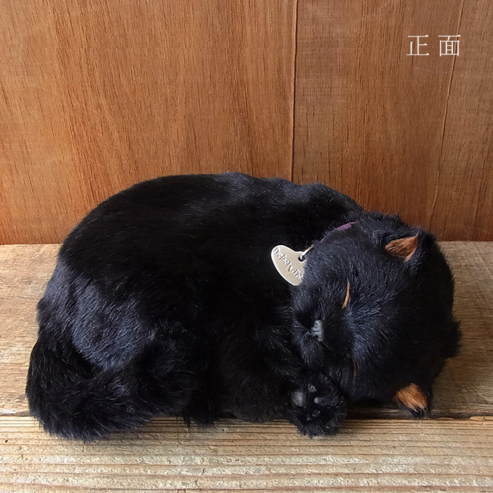 こよないホーン 黒キャット ぬいぐるみ 猫 にゃんにゃん ねこ ぬいぐるみ 即物的 本物 そっくり ペット Acilemat Com