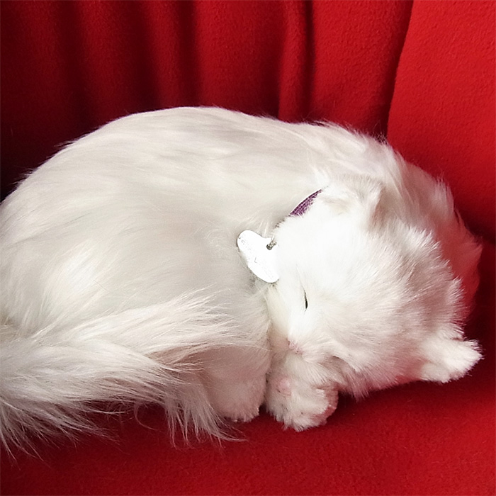 楽天市場 パーフェクトペット 白猫 長毛 ぬいぐるみ 猫 ネコ ねこ ぬいぐるみ リアル 本物 そっくり ペット ニニアンドキノ