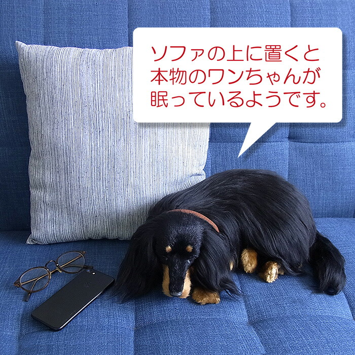 メモリアル そっくり パーフェクトペット 大 ダックス ロング ブラックタン ペット いぬ ニニアンドキノ誕生日 柴犬 犬 イヌ ぬいぐるみ お見舞い スヤスヤ息をしているようにお腹が動くぬいぐるみ 特大 本物 眠る リアル お祝い ギフト プレゼント メモリアル そっくり パーフェクトペット 大 ダックス ロング ブラックタン ペット いぬ ニニアンドキノ誕生日 柴犬 犬 イヌ ぬいぐるみ お見舞い スヤスヤ息をしているようにお腹が動くぬいぐるみ 特大 本物 眠る リアル お祝い ギフト プレゼント