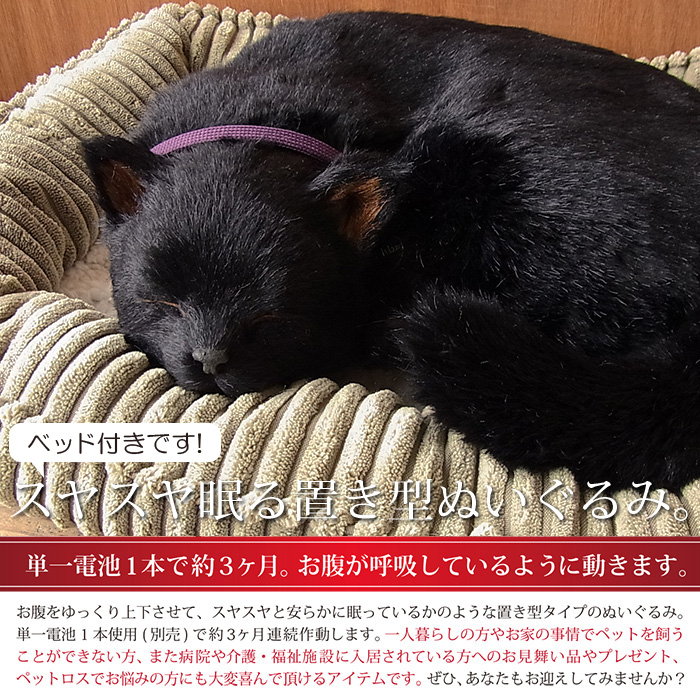 簡易ラッピングでお届け パーフェクトペット 大 黒猫 ぬいぐるみ 猫 ネコ ねこ ぬいぐるみ リアル 本物 そっくり ペット Napierprison Com