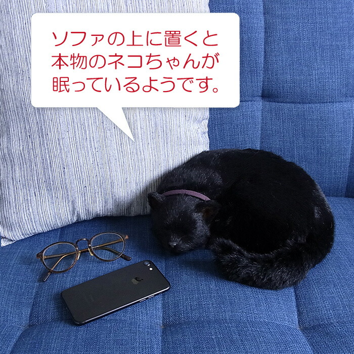 簡易ラッピングでお届け【パーフェクトペット（大） 黒猫 ぬいぐるみ】猫 ネコ ねこ ぬいぐるみ リアル 本物 そっくり ペット｜ニニアンドキノ