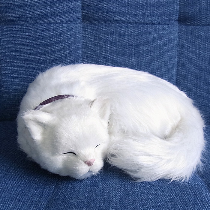 楽天市場 簡易ラッピングでお届け パーフェクトペット 大 白猫 長毛 ぬいぐるみ 猫 ネコ ねこ ぬいぐるみ リアル 本物 そっくり ペット ニニアンドキノ