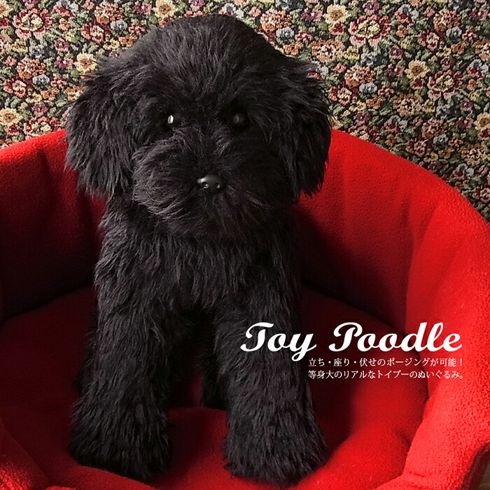 トイプードル ぬいぐるみ リアル 犬｜実物大サイズでポーズが変え