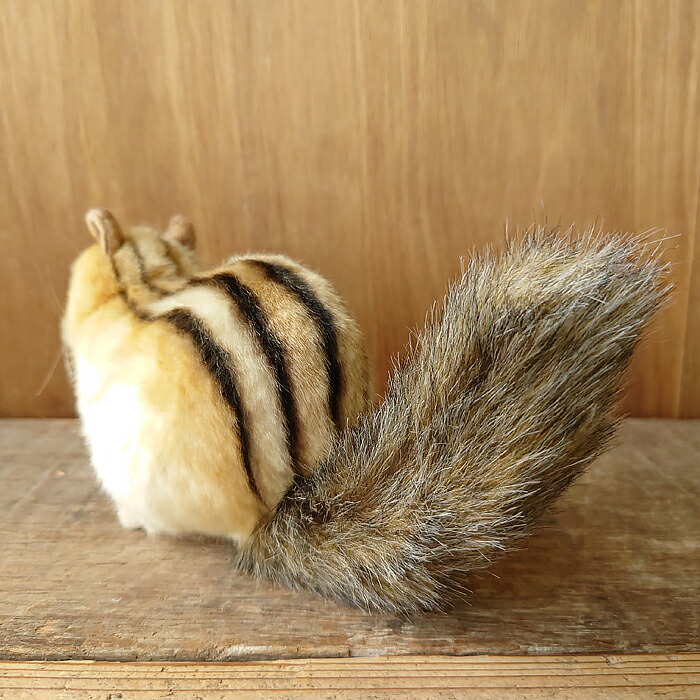 楽天市場 簡易ラッピングでお届け ハンサ Hansa シマリス25 ぬいぐるみ 本物 そっくり リアル ペット メモリアル ニニアンドキノ