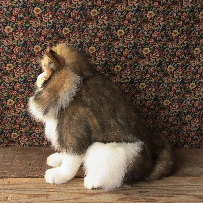 新作大得価 簡易ラッピングでお届け猫 リアル 犬 ぬいぐるみ 猫 リアル 猫 ぬいぐるみ 特大 ぬいぐるみ 大きい ぬいぐるみ 動物 ぬいぐるみ ネコ ねこ ぬいぐるみ リアル 本物 そっくり ペット ニニアンドキノ ぬいぐるみ リアル ぬいぐるみ 犬 ぬいぐるみ犬 安い高評価