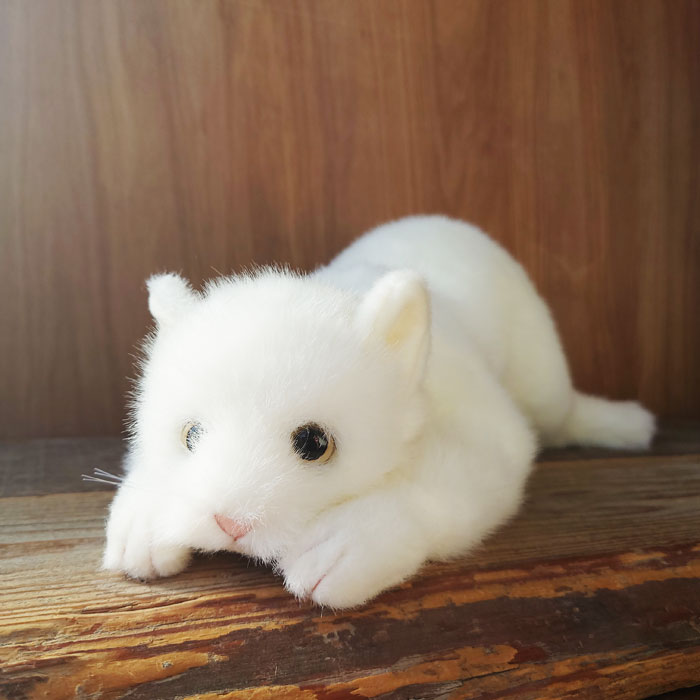 国内正規品 限定 簡易ラッピングでお届け 童心 白猫 L ぬいぐるみ 猫 ネコ ねこ ぬいぐるみ リアル 本物 そっくり ペット 新品即決 Www Grossundklein Info