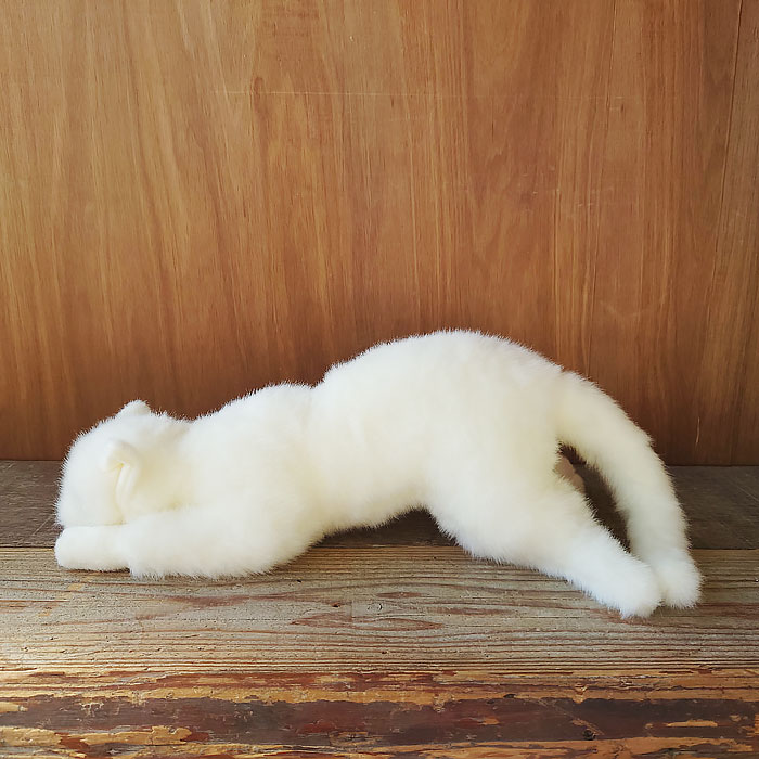 国内正規品 限定 簡易ラッピングでお届け 童心 白猫 L ぬいぐるみ 猫 ネコ ねこ ぬいぐるみ リアル 本物 そっくり ペット 新品即決 Www Grossundklein Info