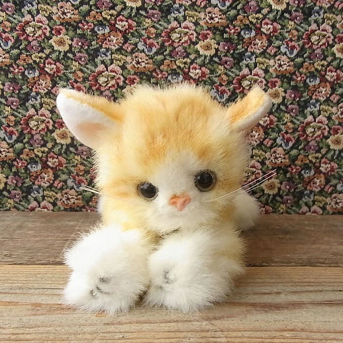 楽天市場 簡易ラッピングでお届け 三英貿易 ソフティキャット M ゴールド ぬいぐるみ 猫 ネコ ねこ ぬいぐるみ リアル 本物 そっくり ペット ニニアンドキノ