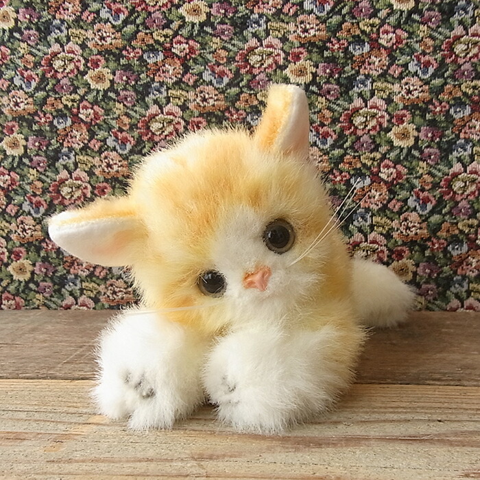 楽天市場 簡易ラッピングでお届け 三英貿易 ソフティキャット M ゴールド ぬいぐるみ 猫 ネコ ねこ ぬいぐるみ リアル 本物 そっくり ペット ニニアンドキノ