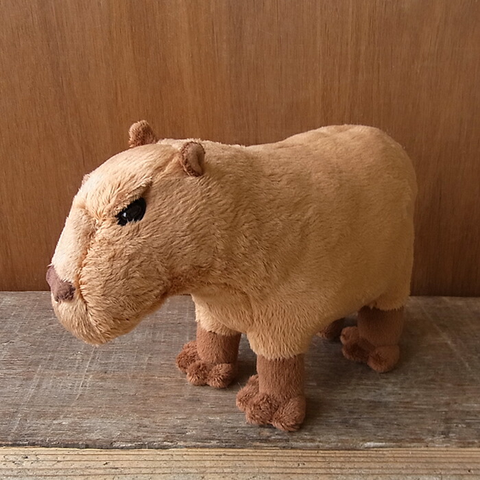 楽天市場】わくわく図鑑 カピバラ サイズ:22cm かぴばら