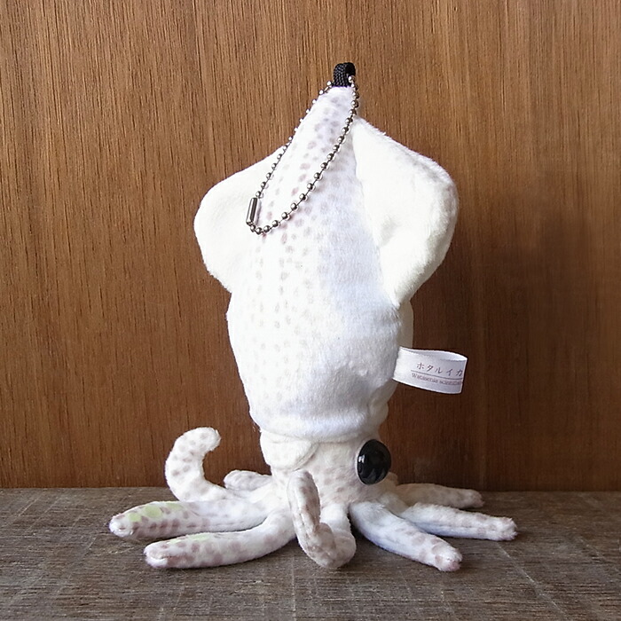 楽天市場】【スターチャイルド キタキツネ ぬいぐるみ】狐 きつね