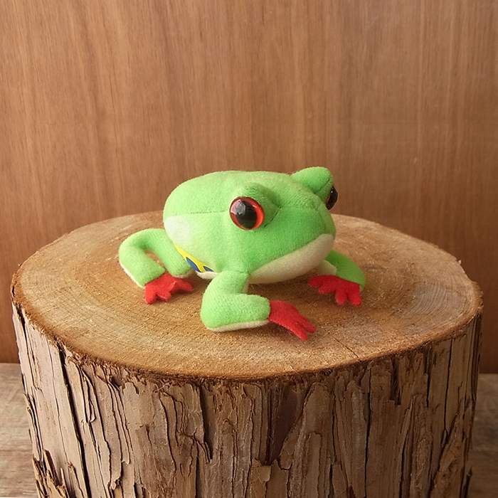 楽天市場 Tst Frog Magnet アカメアマガエル マグネット ぬいぐるみ 蛙 カエル ぬいぐるみ リアル 本物 そっくり ペット ニニアンドキノ