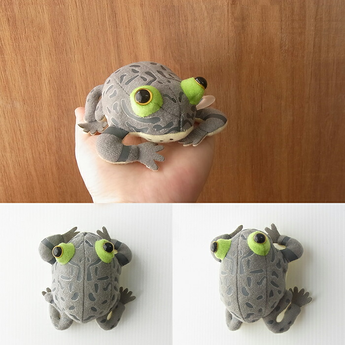 楽天市場 Tst Frog Magnet マルメタピオカガエル マグネット ぬいぐるみ 蛙 カエル ぬいぐるみ リアル 本物 そっくり ペット ニニアンドキノ