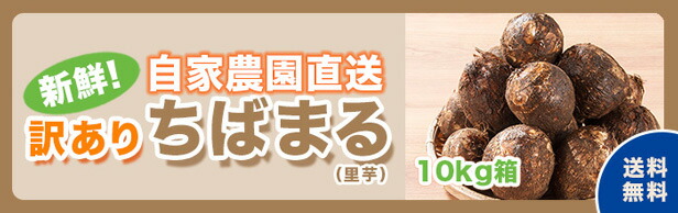 楽天市場】【送料無料※一部地域を除く】新鮮☆自家農園直送☆さといも