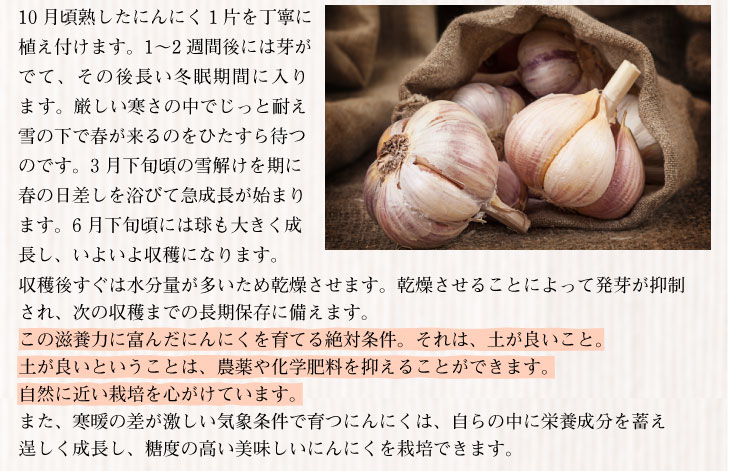 市場 黒にんにく訳あり 送料無料 目覚めスッキリ 元祖 超お徳用 無選別バラ粒 青森産バラ粒 熟成黒ニンニク