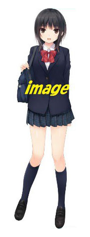 楽天市場】【未開封】プリパラ 描き下ろし等身大タペストリー 藤堂