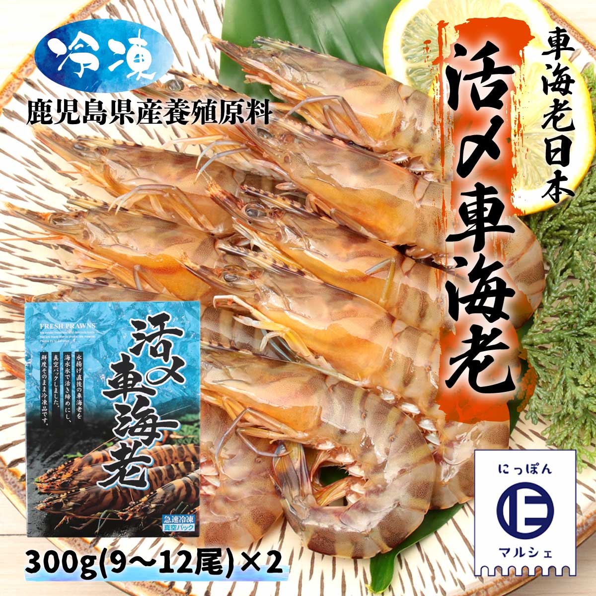 楽天市場 送料無料 車海老日本 活〆 冷凍 車海老 300g 9 12尾入 2 鹿児島県産養殖原料 お中元 お歳暮 お取り寄せ 父の日 母の日 ギフト にっぽんマルシェ楽天市場店