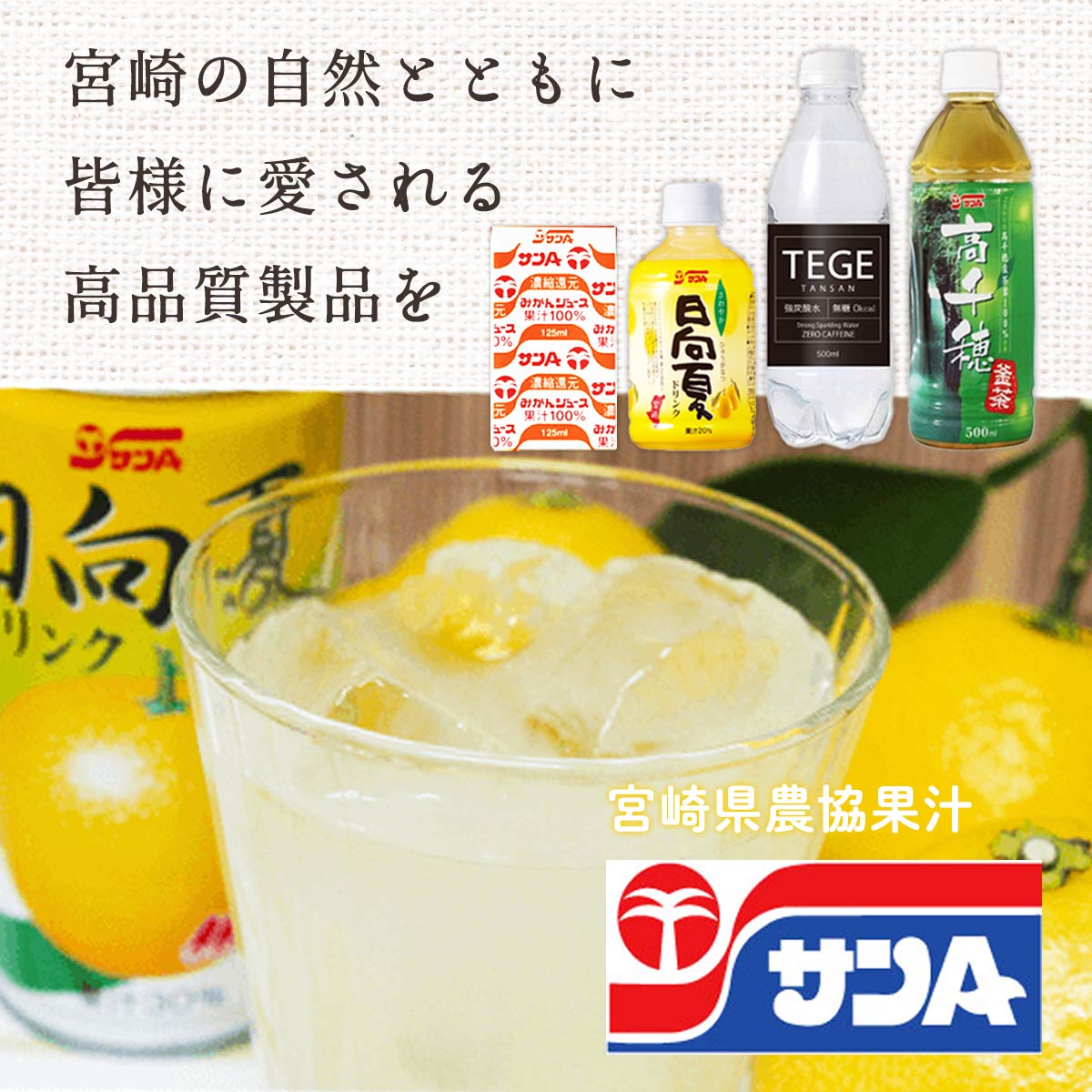 楽天市場 宮崎県農協果汁 ドリンク ケース販売 すっきりわかば 2l 6 宮崎県 緑茶 お茶 ペットボトル お取り寄せ まとめ買い 箱買い ケース買い サンa にっぽんマルシェ楽天市場店