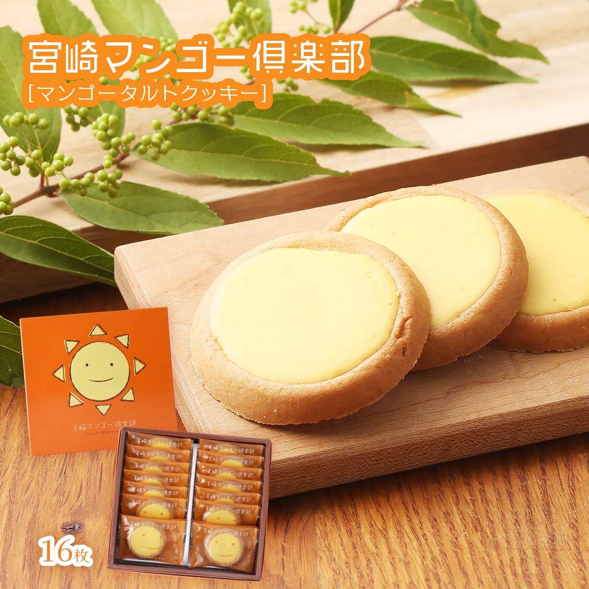 楽天市場】お菓子 [ユタカ商会] 宮崎チーズタイム 大 21枚 /クッキー