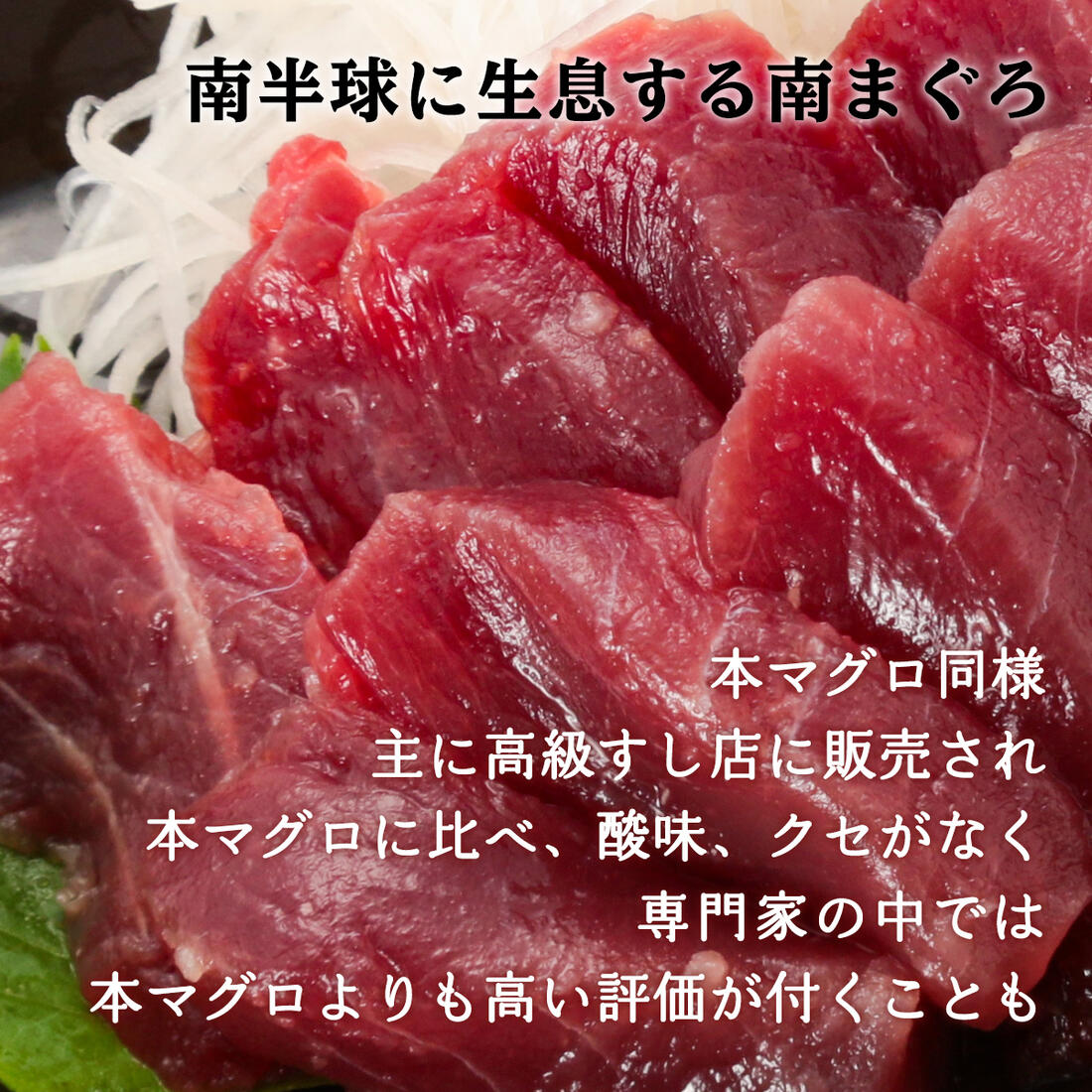 新洋水産 まぐろ 生食用 赤身 南マグロ赤身 冷凍 鮪 刺身 0ｇ マグロ さっぱり