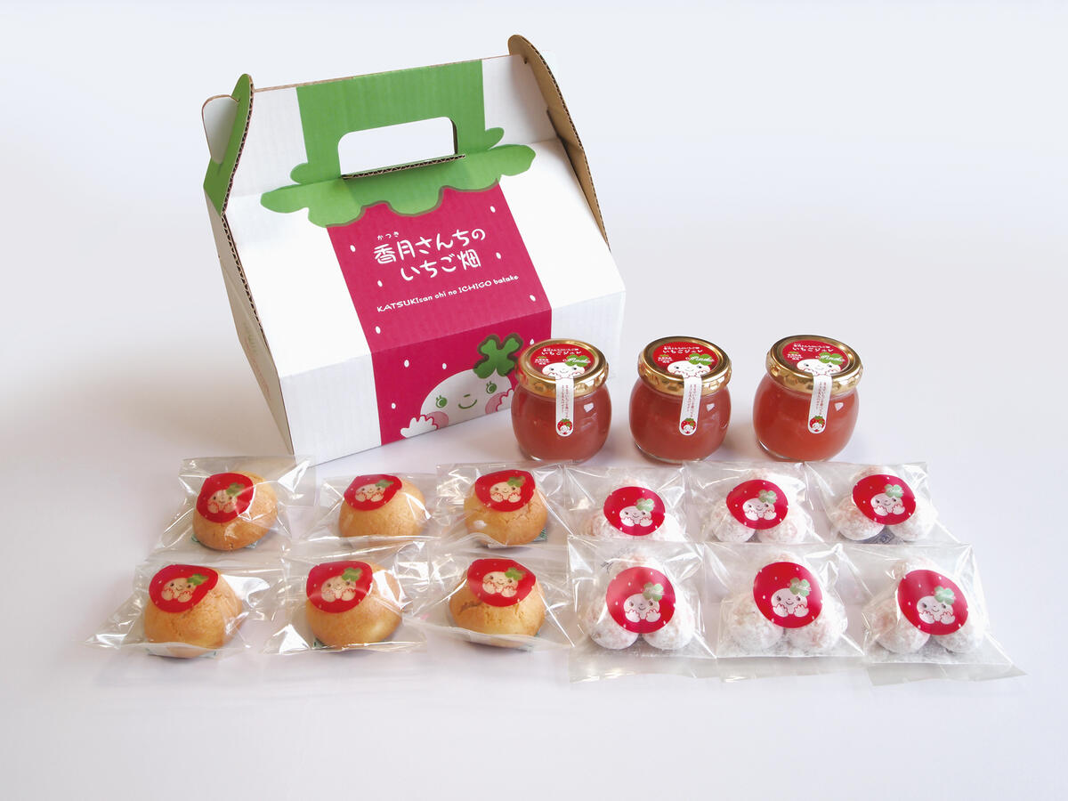 楽天市場】【10%OFF 楽天スーパーSALE限定】[香月さんちのいちご畑