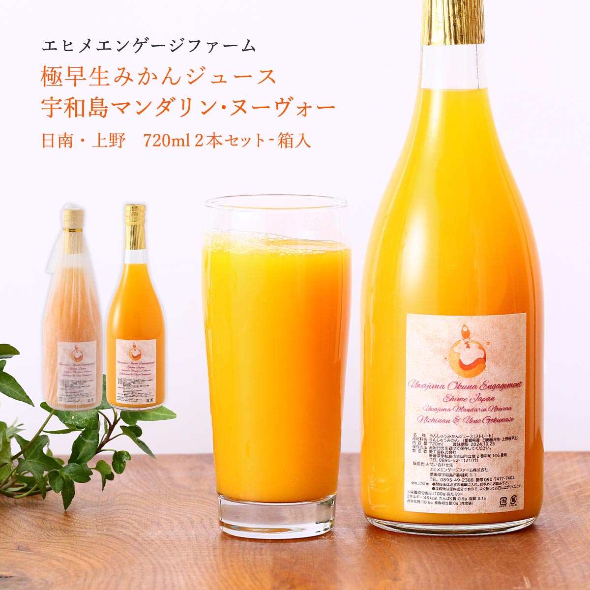 エドウィン コリンズ (オレンジジュース)来日時販促グッズ 楽天市場】オレンジジュースギフト 送料無料 南津海ジュース(カラ