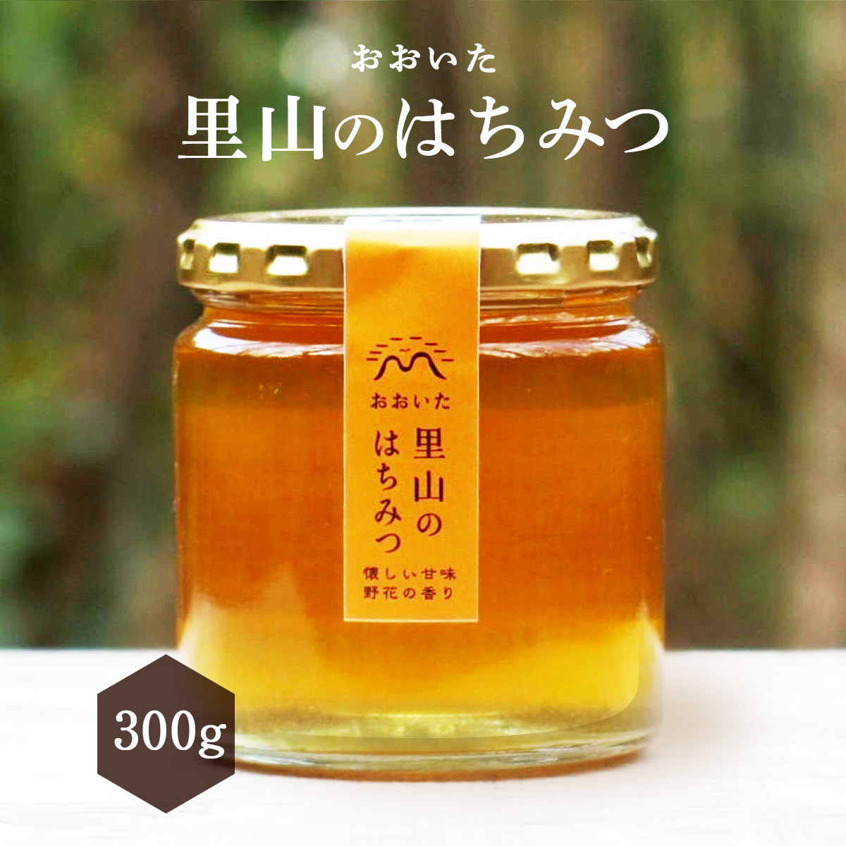 はちみつ [枝次養蜂園] 里山のはちみつ 300g /蜂蜜 ハチミツ 大分 国産 健康 料理 ハニー HONEY