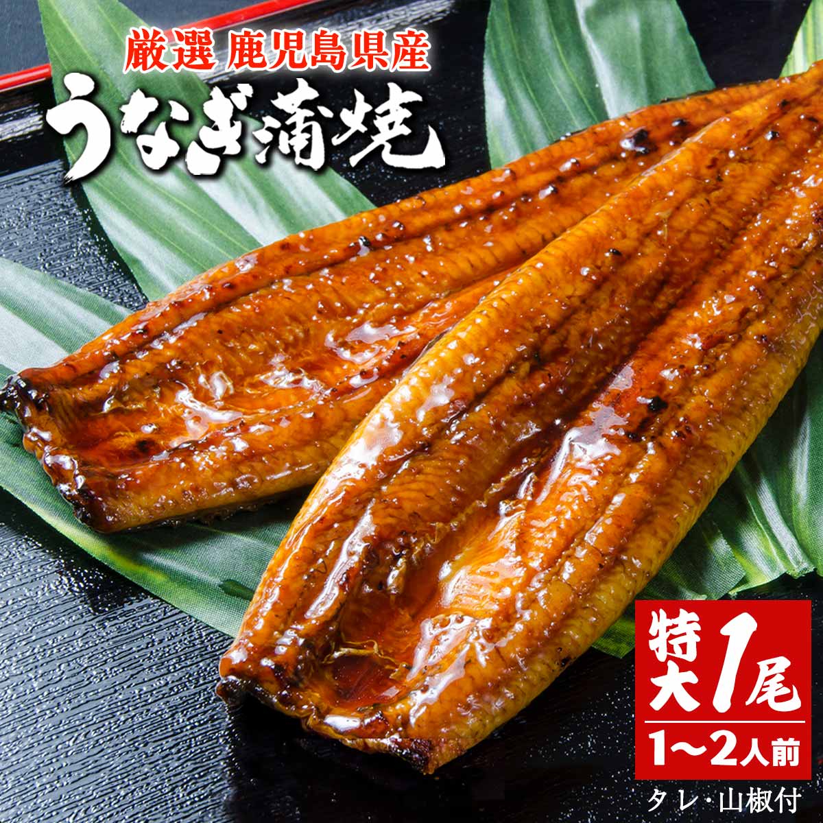 [薩摩川内鰻] 鰻 鹿児島県産うなぎ蒲焼 【特大】 (１尾セット) 無頭蒲焼×1・タレ山椒付き×1・リーフレット・うす箱 / 国産 うなぎ 蒲焼き 鰻 ウナギ お歳暮 冷凍 お中元 丑の日