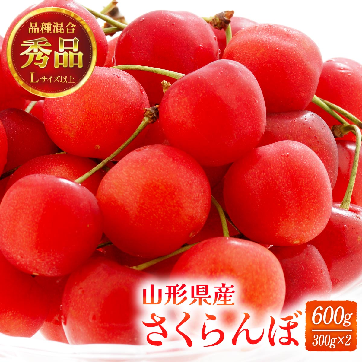 【5%OFF 楽天スーパーSALE限定】山形県産 さくらんぼ 500g [半澤鶏卵] 紅秀峰 L2L、秀品 500g 【7月上旬頃～順次配送】/フルーツ 果物 さくらんぼ ギフト 贈り物 サクランボ 国産 山形 旬のフルーツ