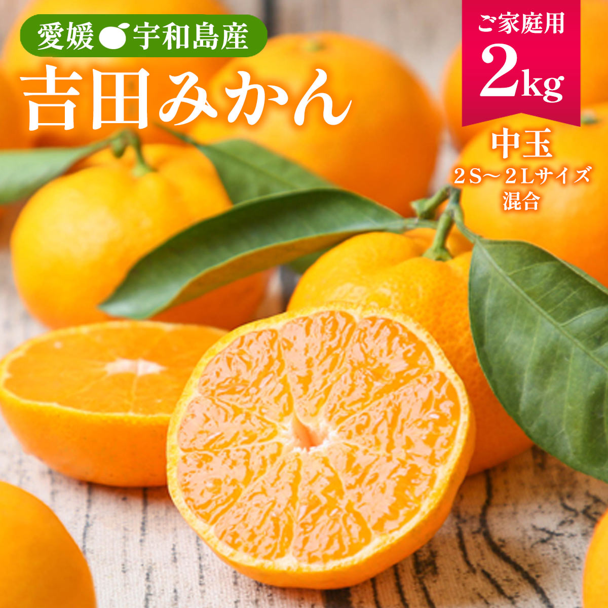 楽天市場】愛媛みかん 5kg [フレッシュつちやま] 吉田みかん 家庭用