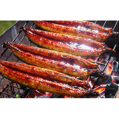 ウナギ 鰻 蒲焼 2尾セット 四万十うなぎ販売株式会社 独自の餌で育てたうなぎを秘伝のタレで焼き上げた 香ばしく深みのある蒲焼 Umu Ac Ug