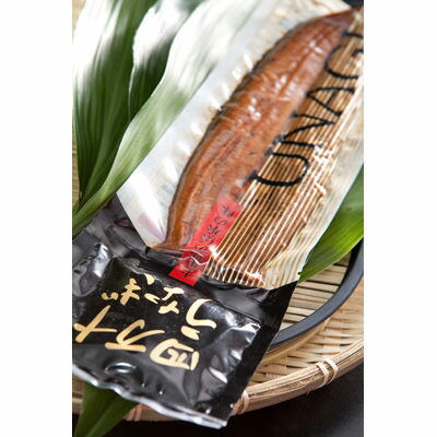 ウナギ 鰻 蒲焼 2尾セット 四万十うなぎ販売株式会社 独自の餌で育てたうなぎを秘伝のタレで焼き上げた 香ばしく深みのある蒲焼 Umu Ac Ug