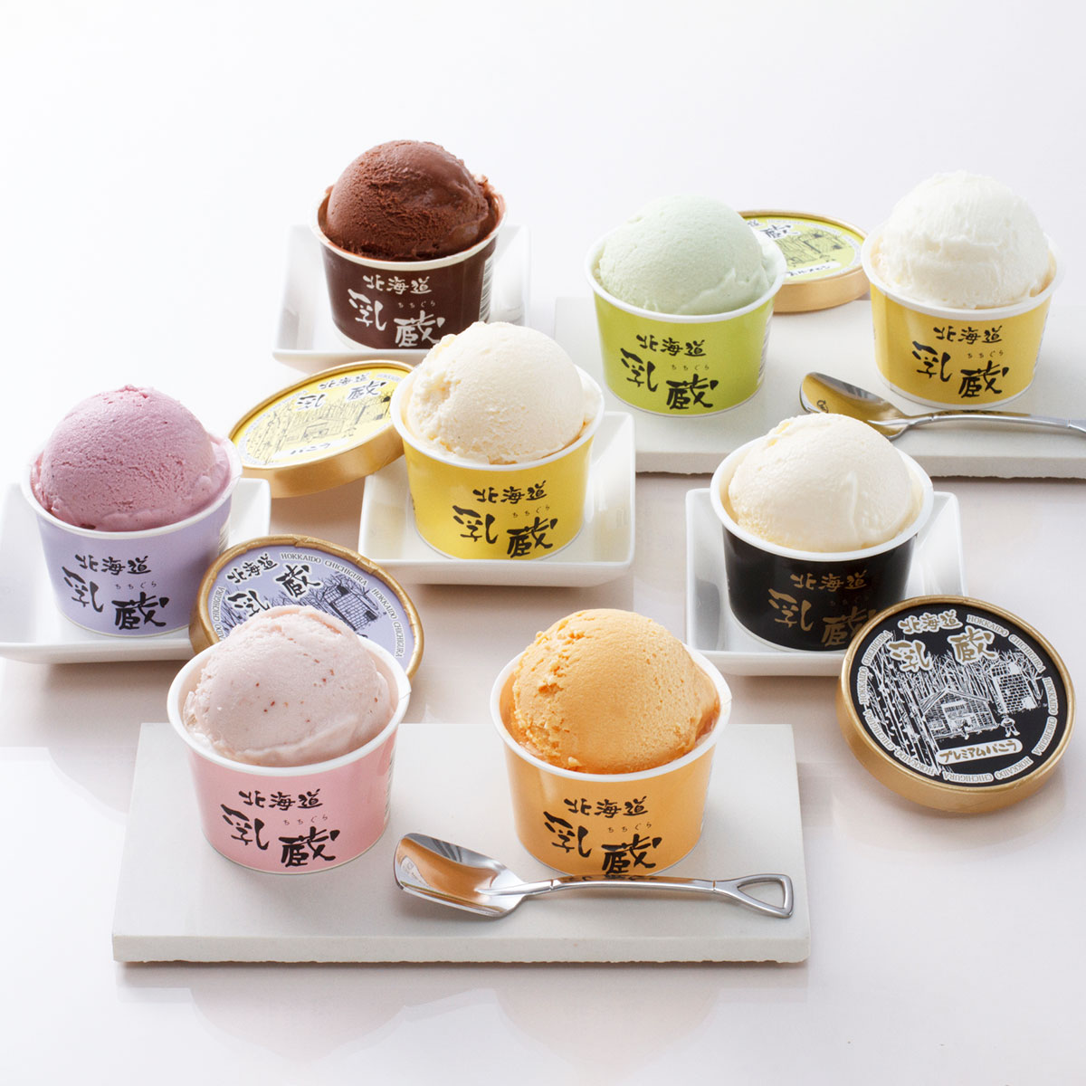 北海道アイスクリーム 8種28個セット 乳蔵 北海道アイス 詰め合わせ 北海道 アイス バニラ バニラアイス ハスカップ スイーツ 食べくらべ デザート ご当地アイス｜産直お取り寄せＮセレクト