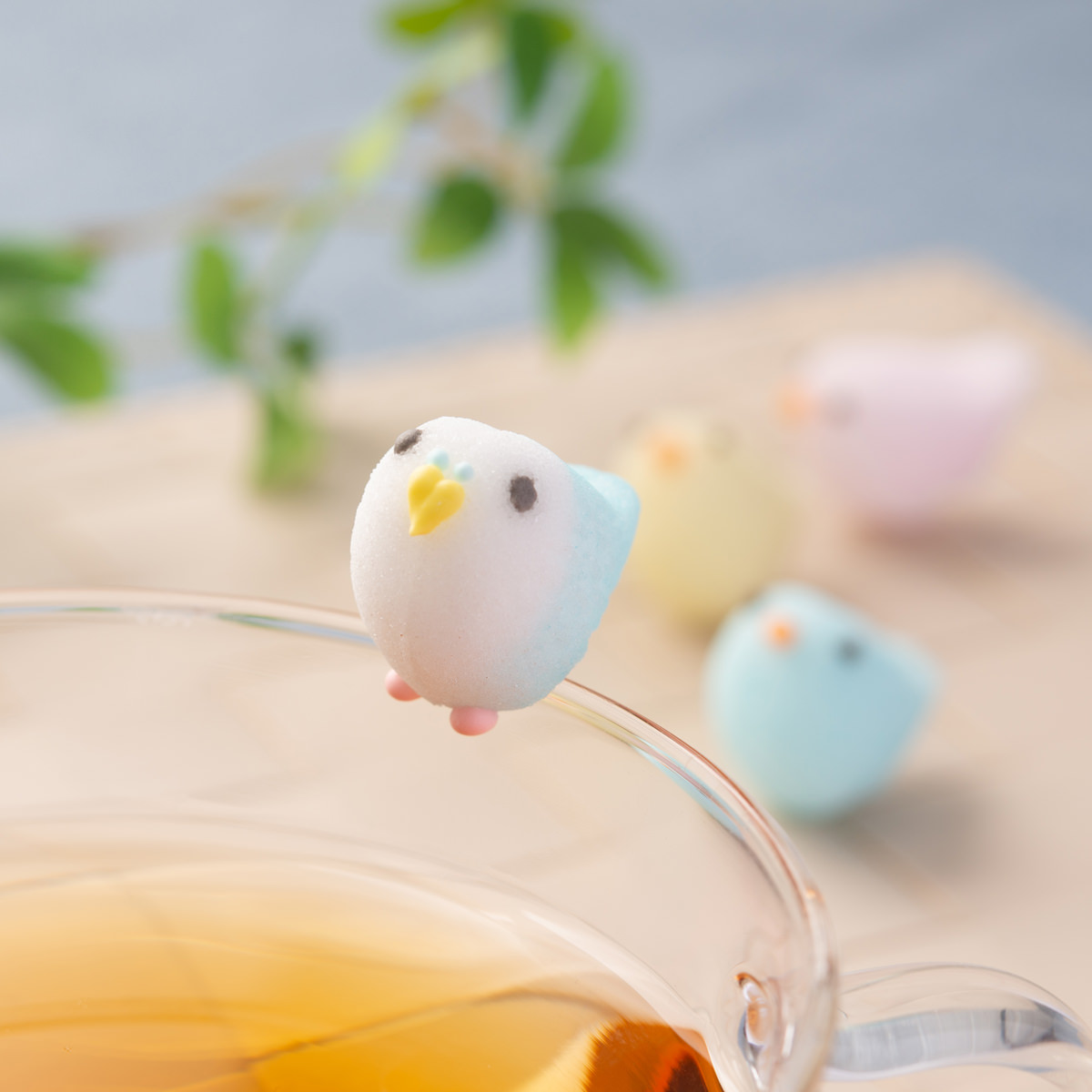 スーパーSALE】 小鳥シュガークラフト セット 砂糖菓子 ティーシュガー