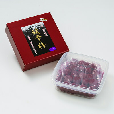 大粒の伊予南高梅うめぼし「媛幸梅（しそ）」 佐伯食品株式会社 愛媛県 西条市が誇る完熟伊予南高梅のブランド梅干し 4,719円