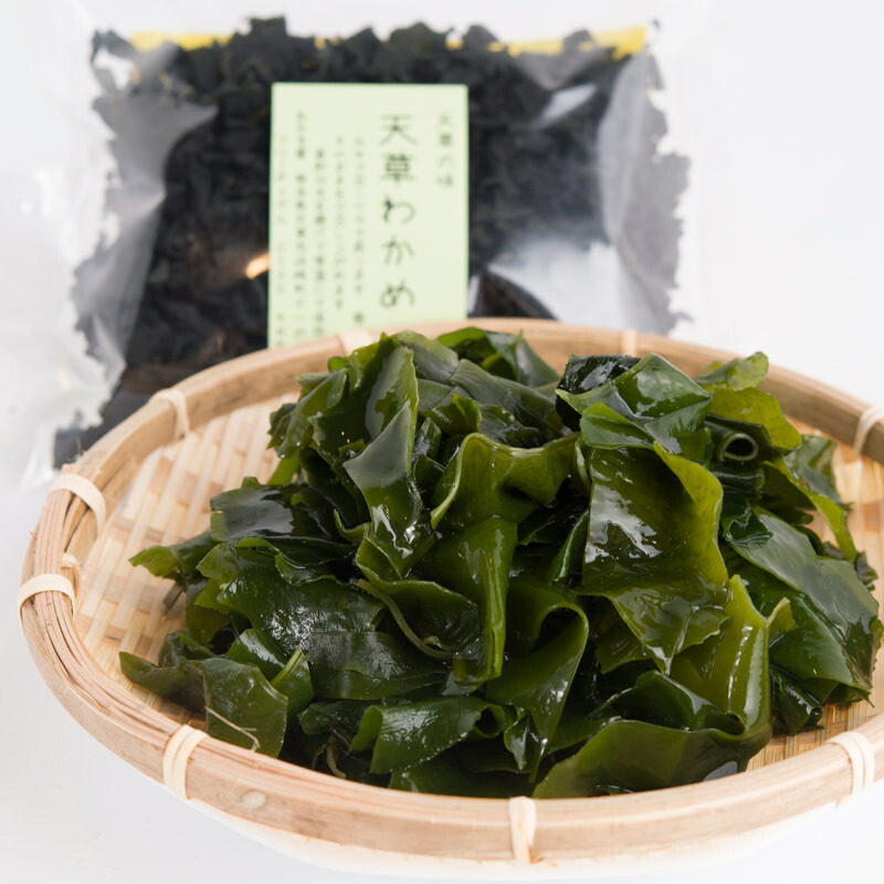 天草わかめ〔50g×3〕 あおき屋 熊本県