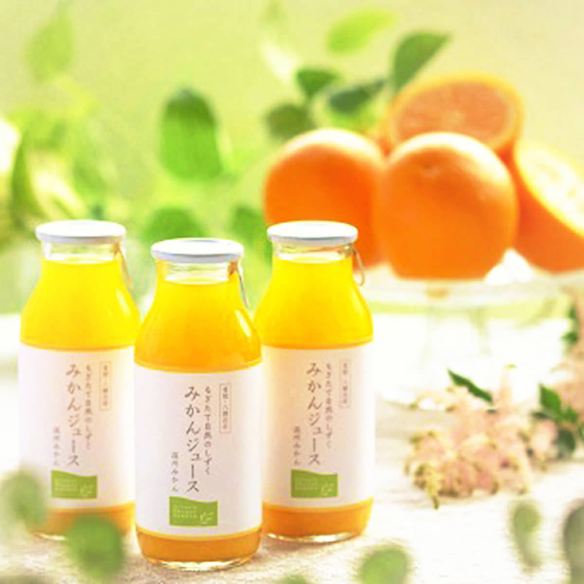 【胡蝶蘭】600g蜂蜜２本+1000みかんジュース６本+せとかジュース４本 みかんジュース6本セット『金蜜（きんみつ）』本家六代目上門
