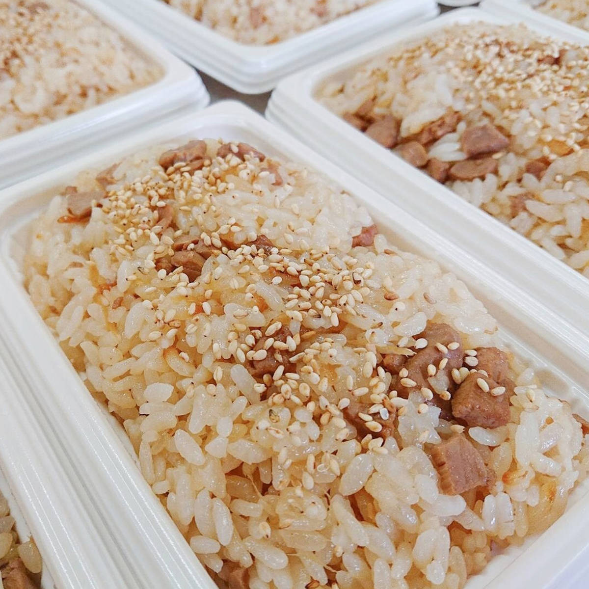 かつおめし セット 10個 カツオ ごはん 冷凍 炊き込みご飯 レンジであたためるだけ かつお飯 焼津産 村兼水産 Salon Raquet De