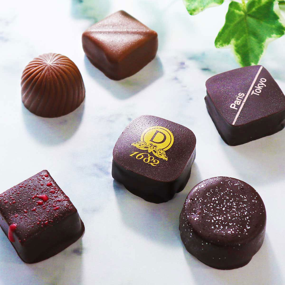 コフレドショコラ 15個入 15種 詰合せ チョコレート スイーツ ダロワイヨ おやつ 東京 デザート ジャンドゥージャ ボンボンショコラ クーベルチュール お取り寄せスイーツ プラリネ 高級 洋菓子 チョコレートボンボン ガナッシュ 大幅にプライスダウン 59 割引