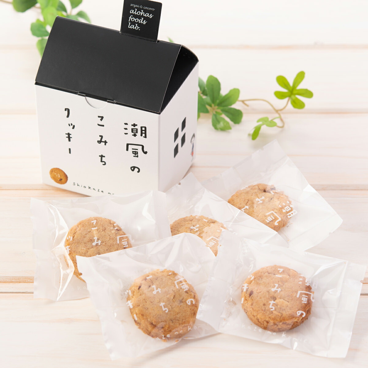 楽天市場 潮風のこみちクッキー 家型箱 3個セット 3箱 詰合せ クッキー 洋菓子 焼菓子 国産小麦使用 スイーツ デザート 焼き菓子 おやつ ご当地スイーツ お取り寄せスイーツ 神奈川 鎌倉ツリープ 産直お取り寄せニッポンセレクト