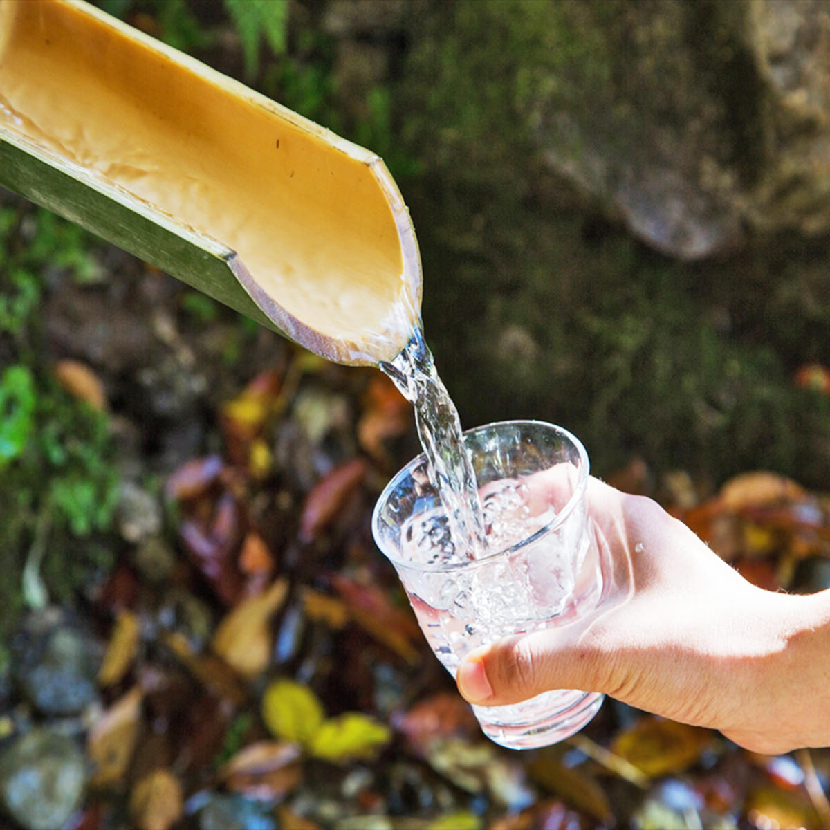 四国カルスト天然水 ぞっこん 500ml 2ケース 水 ミネラルウォーター 天然水 48本 弱アルカリ性 中硬水 ミネラル 四国カルスト 非加熱処理 自然ろ過 愛媛 ぞっこん四国 Salon Raquet De