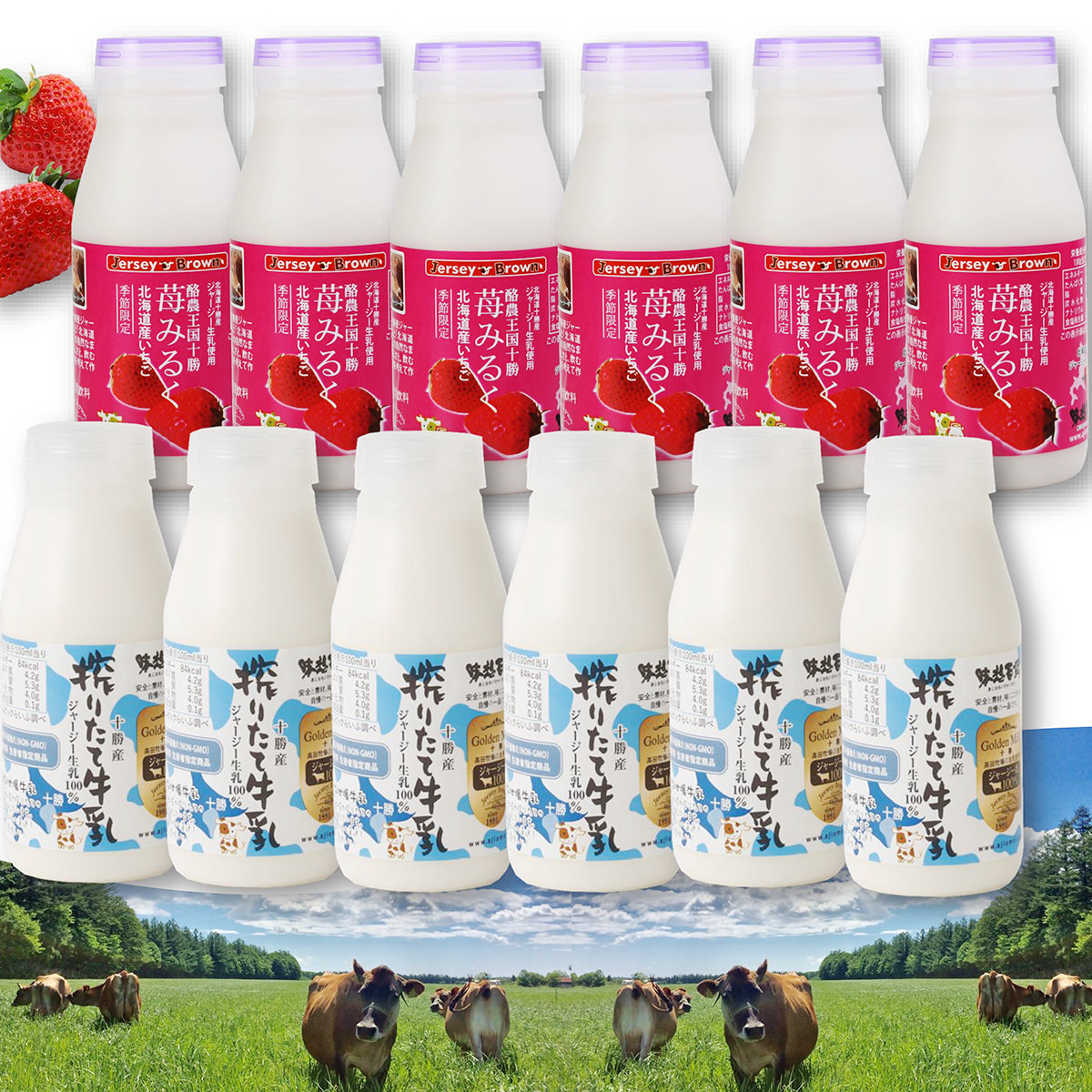 市場 十勝搾りたてジャージー牛乳 苺みるく S12本 北海道産 ミルク 牛乳 ジャージー牛乳 セット 乳飲料 飲料 いちごミルク 搾りたて
