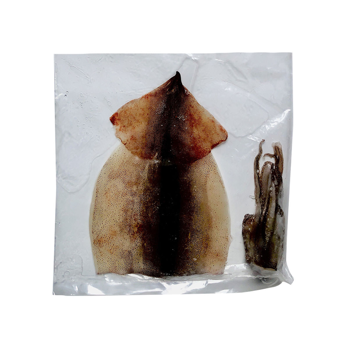 日本海いか小僧姿造り 10尾 イカ 冷凍 姿造り 国産 刺身用 するめいか ゲソ 姿開き 船凍イカ 魚介 刺身 海鮮 新潟 septicin Com