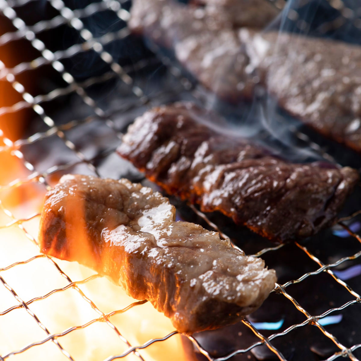 肉の牛王 鳥取和牛 焼肉 食べ比べ ギフトセット 焼肉セット 国産 牛肉 牛ホルモン 黒毛和牛 冷凍