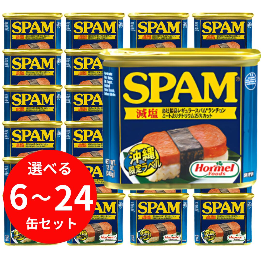 SPAM 340g❌24缶 Amazon.co.jp: スパム レギュラー 340g×24缶 SPAM ポーク